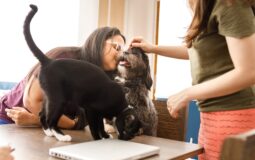 Navigating Exclusions and Limitations in Pet Insurance Coverage: What You Need to Know