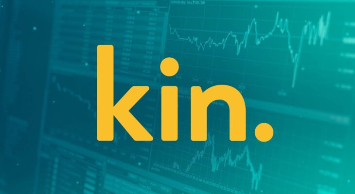 Kin Insurance Review: Modernizing Home Insurance with Technology and Transparency